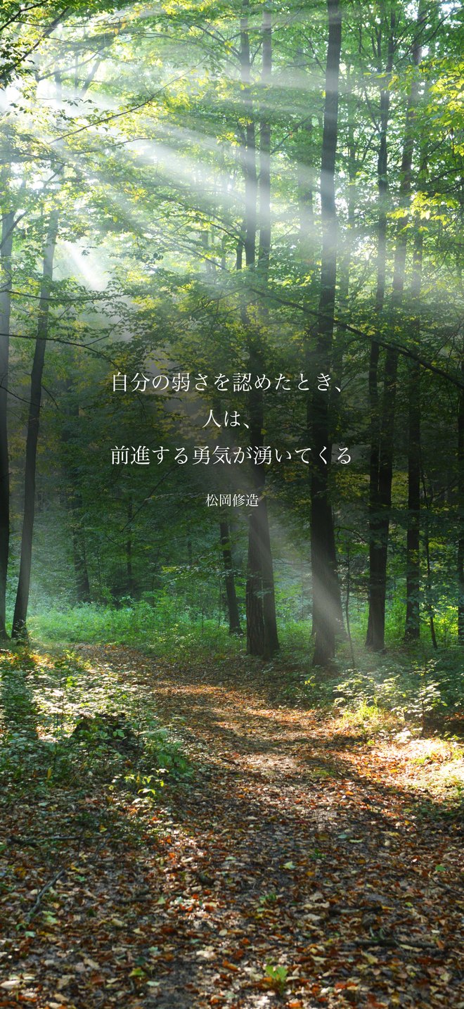 自分の弱さを認めたとき、人は、前進する勇気が湧いてくる（松岡修造）